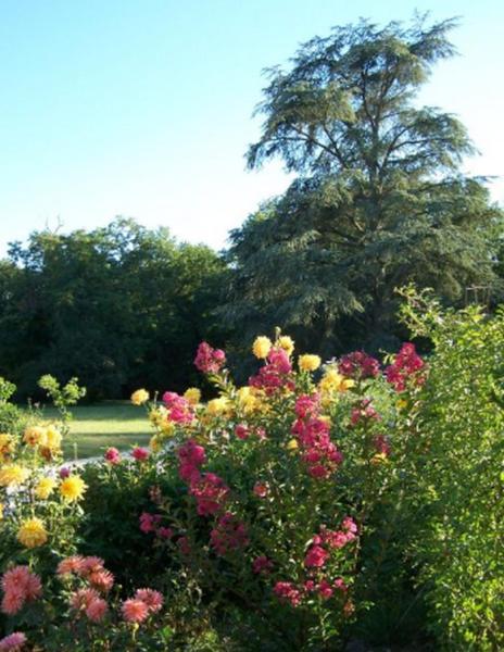 Chateau Des Bouffards Brinon-sur-Sauldre ภายนอก รูปภาพ
